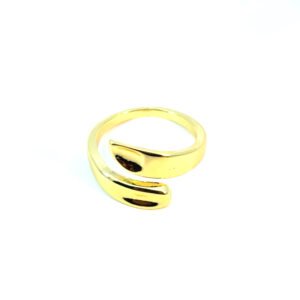 Anillo basico medio espiral