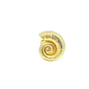 Anillo caracol